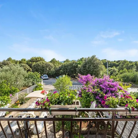 Apartment 2 Bedroom In Sibenik